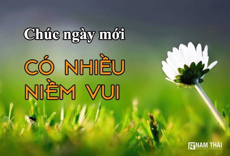 Công việc có niềm vui buổi sáng