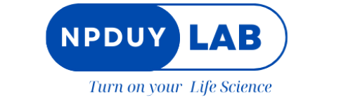 Logo npduylab