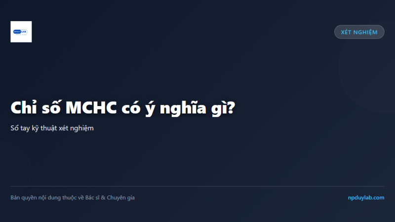 Chỉ số MCHC có ý nghĩa gì?
