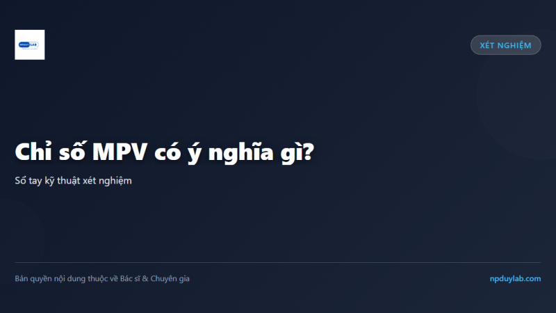 Chỉ số MPV có ý nghĩa gì?