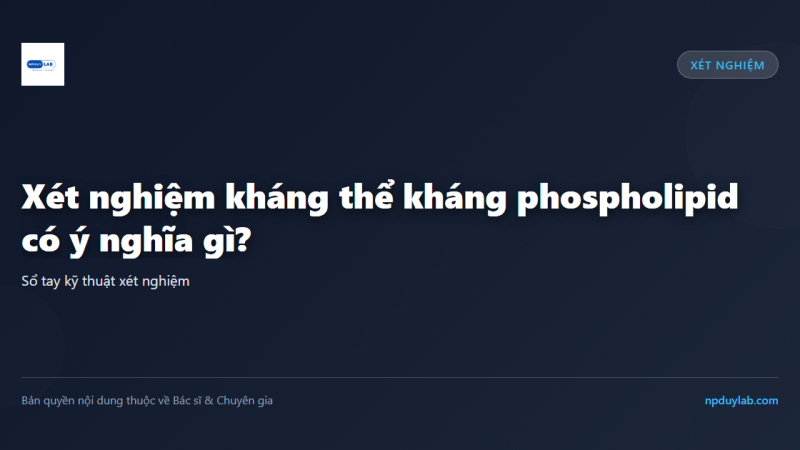 Xét nghiệm kháng thể kháng phospholipid có ý nghĩa gì?